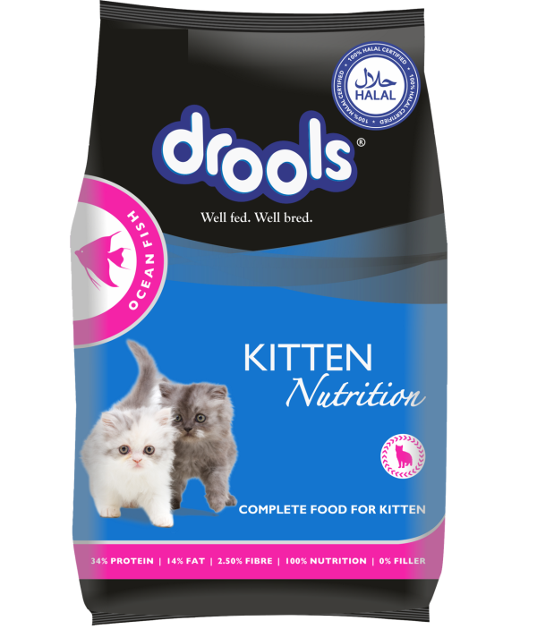 Drools Kitten Cat Food Ocean Fish Flavour 4kg - Pet Zone BD
