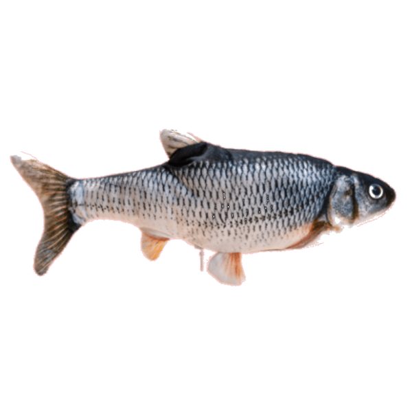 Electric Moving Cat Kicker Fish Toy - Petco BD