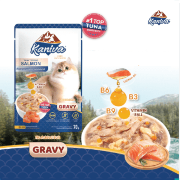 Kaniva Cat Pouch Salmon In Gravy 70g - Petco BD