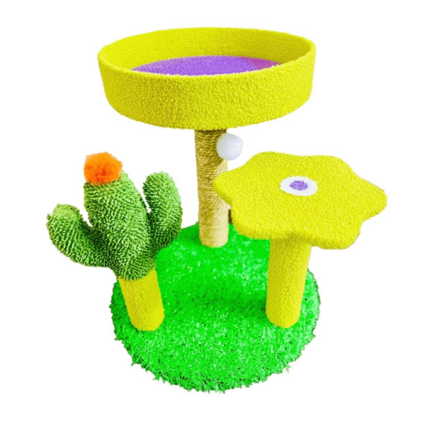 Scratch Board Cat Round CacTus - Petco BD