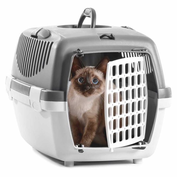 So Phresh Geometric Covered Cat Litter Box